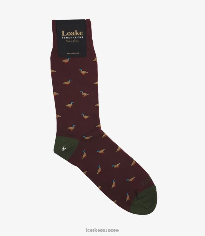 accessoires Loake canard chaussettes Bourgogne JR680258
