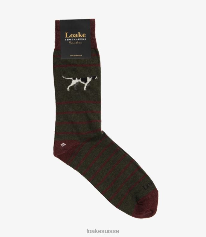 accessoires Loake pointeur chaussettes vert JR680252