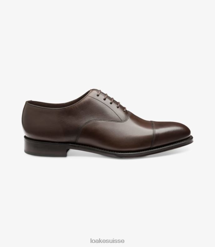 embouts Loake aldwych marron foncé JR680181